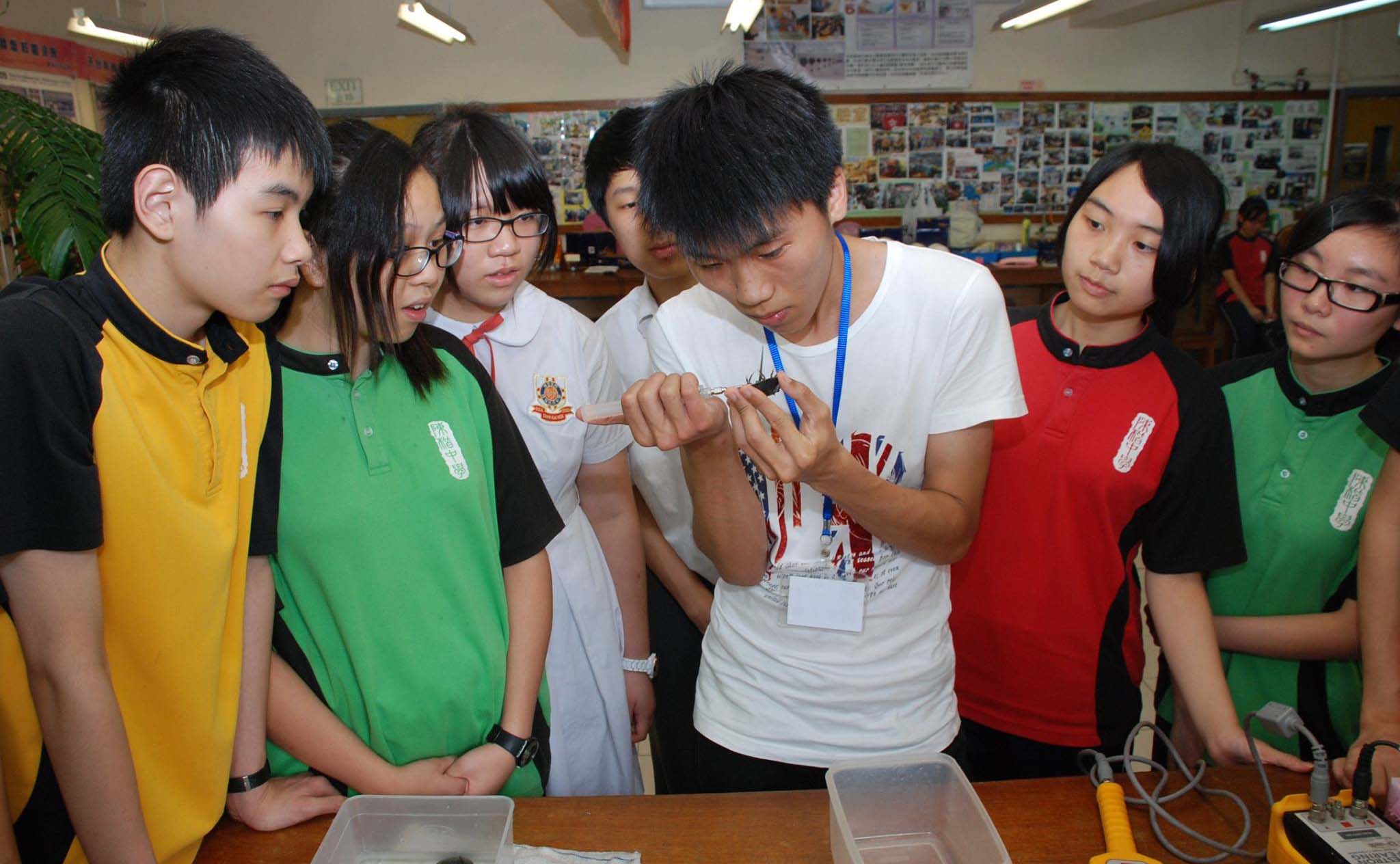 Juvenile Horseshoe Crab Rearing Programme OPCFHK